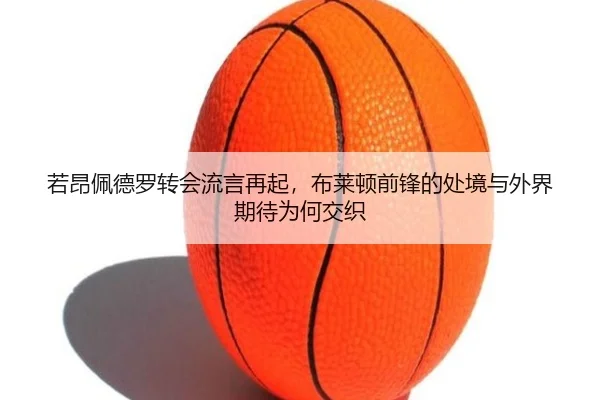 ruo-ang-pei-de-luo-zhuan-hui-liu-yan-zai-qi-bu-lai-dun-qian-feng-de-chu-jing-yu-wai-jie-qi-dai-wei-he-jiao-zhi-2-351.jpg